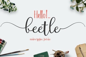 Beetle Duo Font for Creative Typography Projects