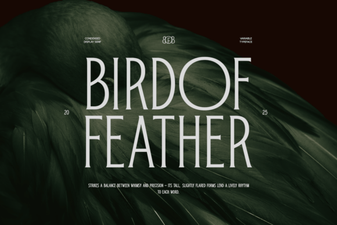 Bird of Feather Font: Creative Design Projects